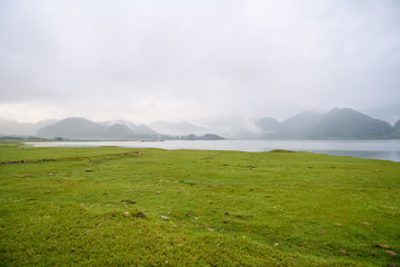 迈凯伦p1全球有几辆？