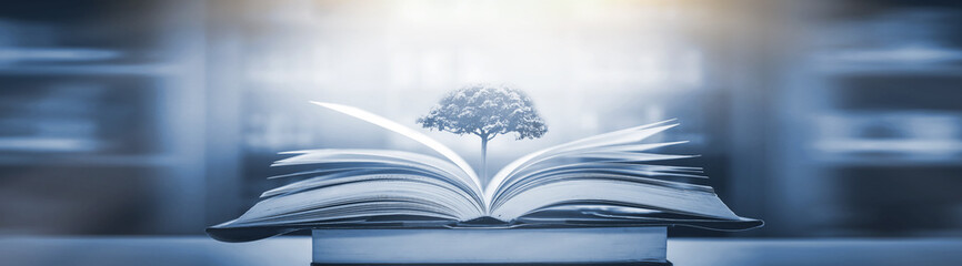 领克是合资车还是国产车