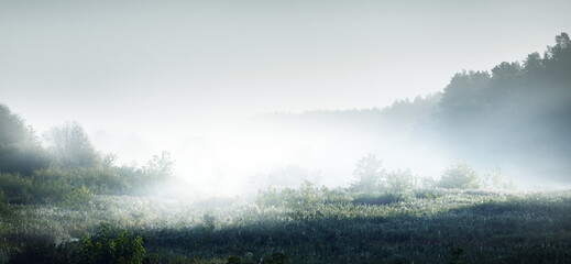 买比亚迪宋plus十大忠告