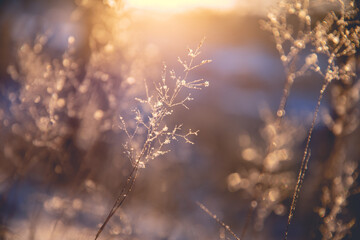 领克是合资车还是国产车