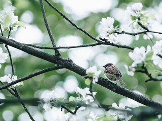 非京籍北京摇号资格最新政策有哪些