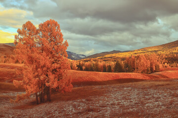 准备提车 应该怎样验车的