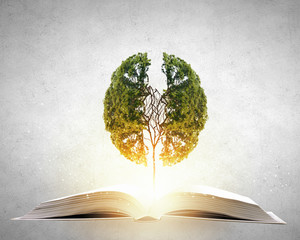 买比亚迪宋plus十大忠告