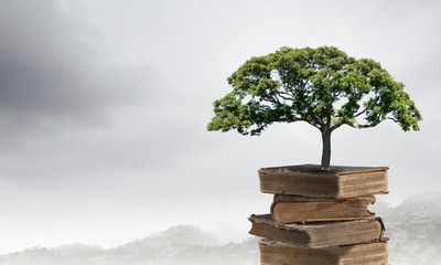 准备提车 应该怎样验车的