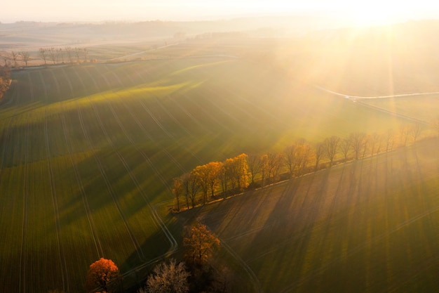 迈凯伦p1全球有几辆？